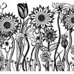 meadow - Black and White Series